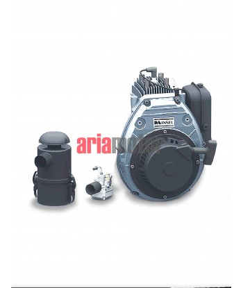 Gasoline Engine Minsel M165 Agricultural Right Ariamotor