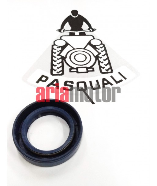 Tractor Pasquali Steering Seal