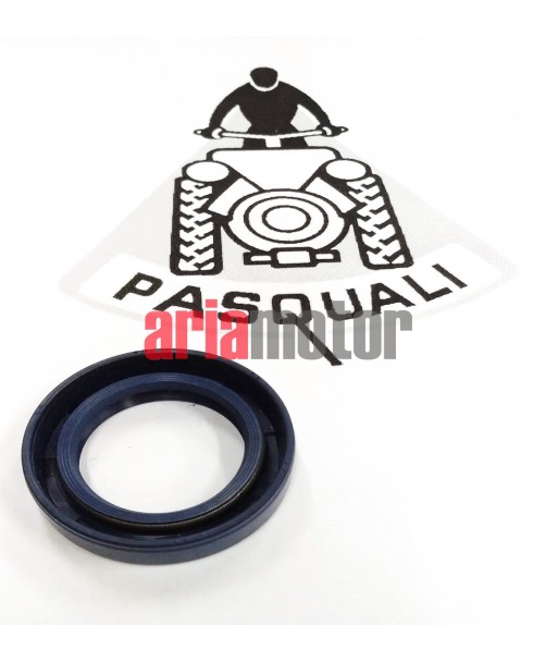 Tractor Pasquali Steering Seal 7.754